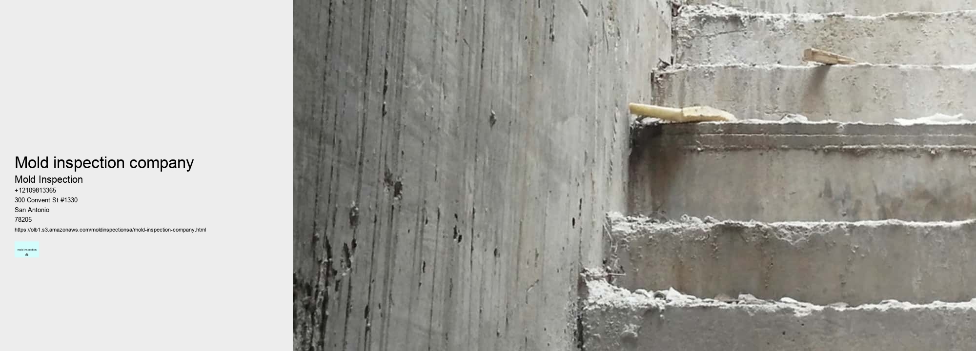 The Ultimate Guide on How To Properly Remove All Types of Mold